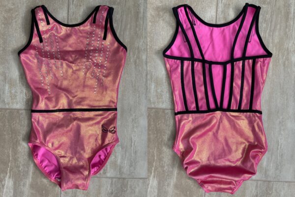 Dragonfly Leotards, L (10)